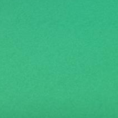 Фоам ЭВА тёмно-зелёный 50х50 см (Китай) купить в интернет-магазине ФлориАрт