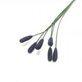Тычинки тюльпана чёрные 6 шт купить в интернет-магазине ФлориАрт