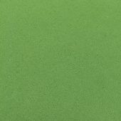 Фоамиран иранский тёмный весенне-зелёный 0.8-1.0 мм, 60х70 см купить в интернет-магазине ФлориАрт