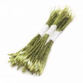 Тычинки с белым удлинённым пыльником на зелёной нити 150 шт купить в интернет-магазине ФлориАрт