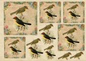 Декупажная карта Птички-невелички Е-140 (А3, 40 гр/м2, Vintage Design) купить в интернет-магазине ФлориАрт
