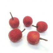Яблоко красное в сахаре декоративное 25 мм 5 шт купить в интернет-магазине ФлориАрт