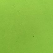 Фоам ЭВА светло-зеленый (Китай, 20х30 см, 2 мм.) купить в интернет-магазине ФлориАрт