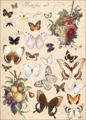 Декупажная карта Бал бабочек (А3, 40-45 гр/м2, CheapArt) купить в интернет-магазине ФлориАрт