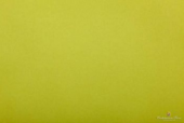 Бумага тишью, 50х76 см, цвет салатовый (31) купить в интернет-магазине ФлориАрт