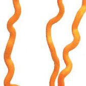 Ствол корилуса оранжевый 35 см купить в интернет-магазине ФлориАрт