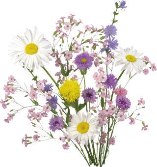 Ароматизатор для глины (полевые цветы) купить в интернет-магазине ФлориАрт