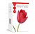 Набор для создания цветов из холодного фарфора "Тюльпан" купить в интернет-магазине ФлориАрт