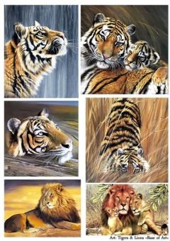 Декупажная карта Tigers&Lions (А3, 30 гр/м2, Base of Art) купить в интернет-магазине ФлориАрт