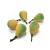 Груша желто-зеленая в сахаре декоративная 25 мм 5 шт купить в интернет-магазине ФлориАрт